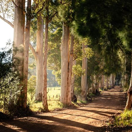 Karrak Reach Forest Retreat 덴마크 외부 사진