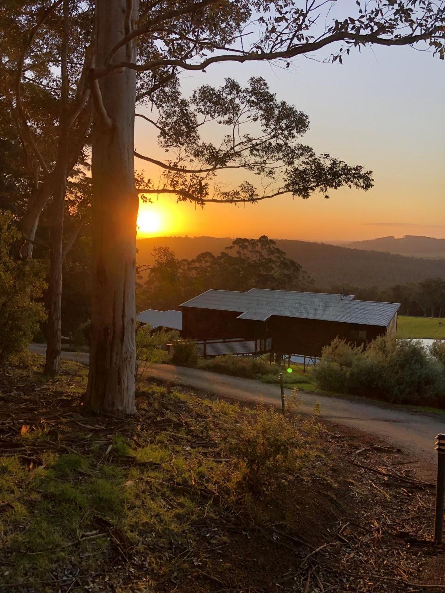Karrak Reach Forest Retreat 덴마크 외부 사진