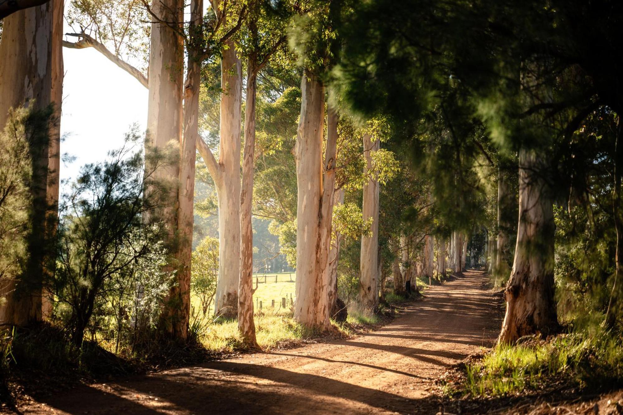 Karrak Reach Forest Retreat 덴마크 외부 사진
