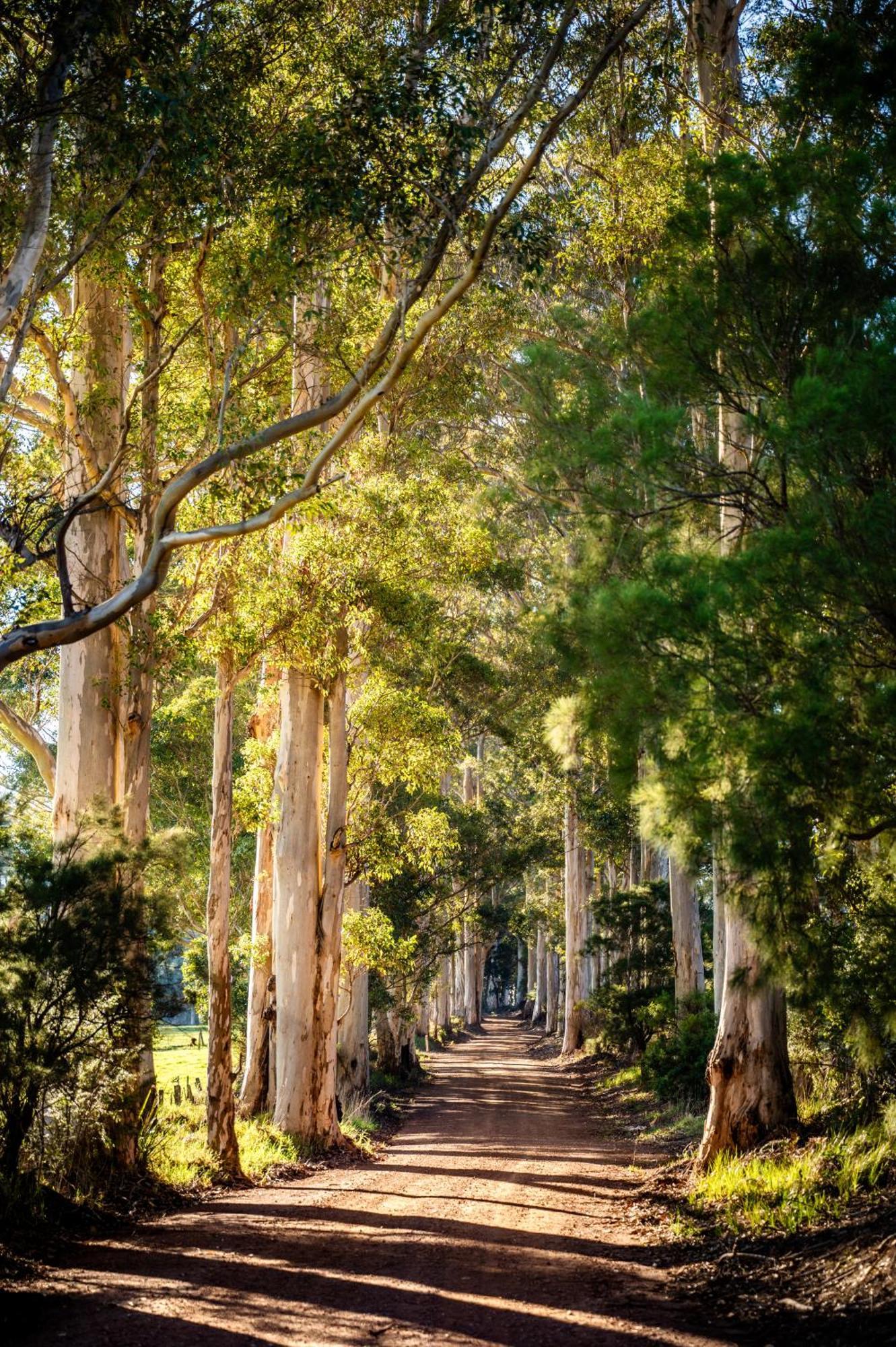 Karrak Reach Forest Retreat 덴마크 외부 사진